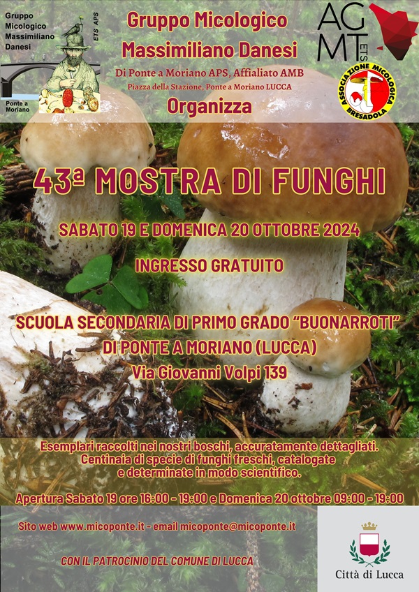 Locandina 43a Mostra di Funghi