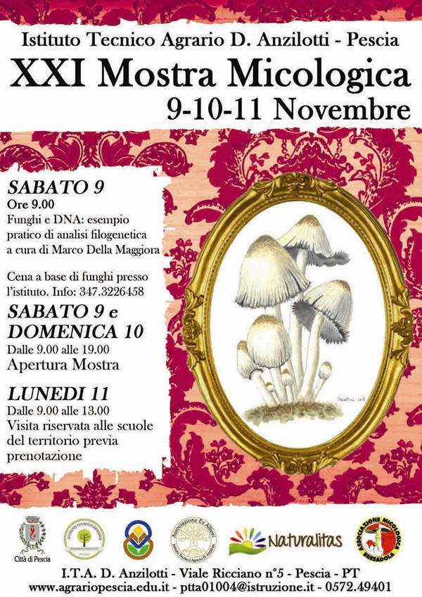 Locandina mostra Pescia 2019